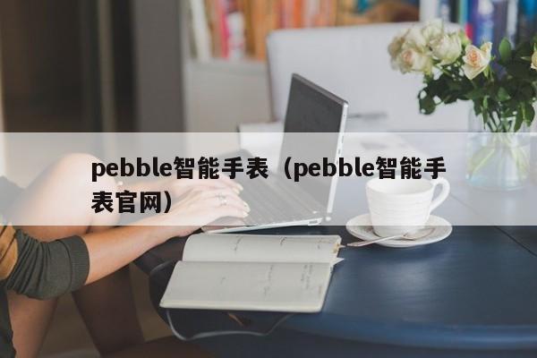 pebble智能手表（pebble智能手表官网）