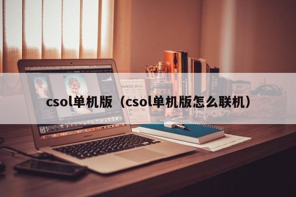 csol单机版（csol单机版怎么联机）