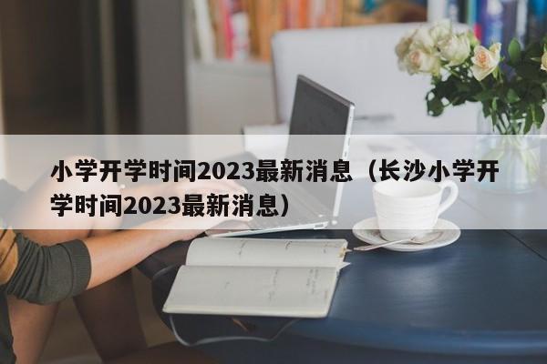 小学开学时间2023最新消息（长沙小学开学时间2023最新消息）